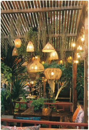 Jardim exterior iluminado para reforçar a importancia da iluminação exterior na decoração dos espaços